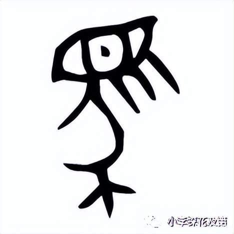 「典籍里的汉字」趣说中华八大姓之"妫"姓,最早驯服大象的人!