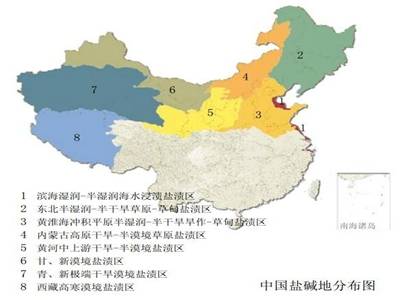 中国盐碱地分布我国是盐碱地大国,分布在西北,东北,华北等干旱,半干旱