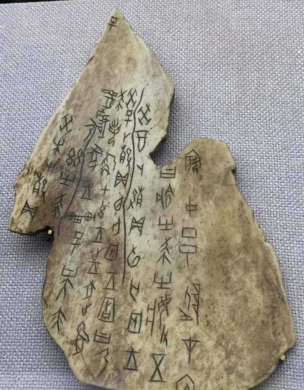 第四片甲骨大结局 来自搜狐网