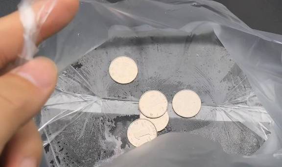 为什么硬币加上水就能阻止苍蝇进门呢