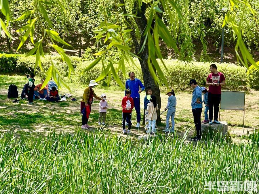 青岛：帐篷度假，河畔遛娃