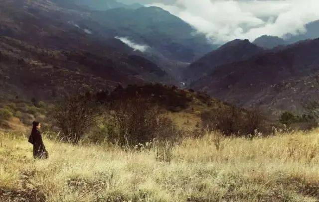 在这座大山,观猴种茶,过《瓦尔登湖》式的日子_村里_红蚂蚁_尹吉甫