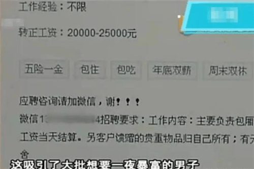 招聘夜场男公关的广告,广告说得天花乱坠,不限经验,不限学历,工作轻松