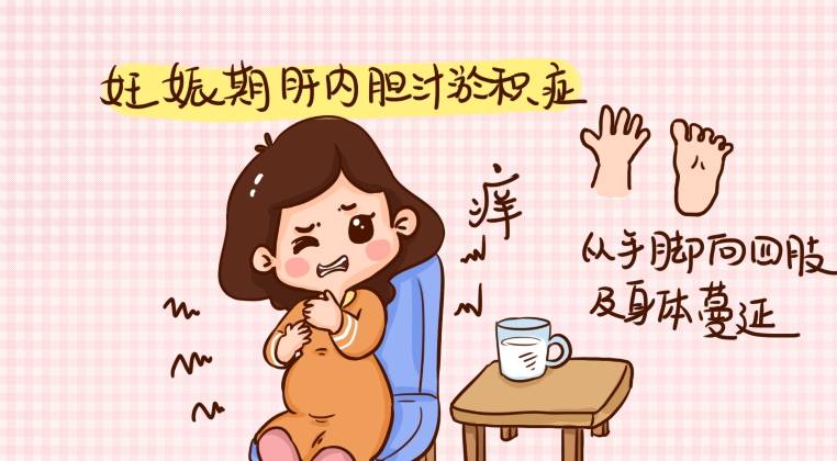 当孕妇患上妊娠期肝内胆汁