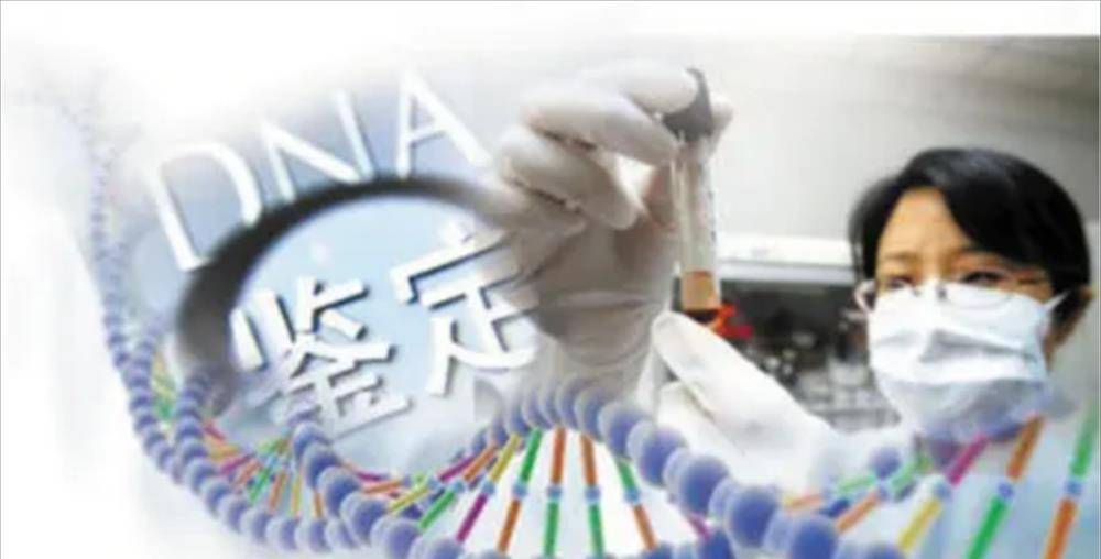 "一段时间以后,小龙陪着妻子去做产检,做b超的时候,小龙小心翼翼地问