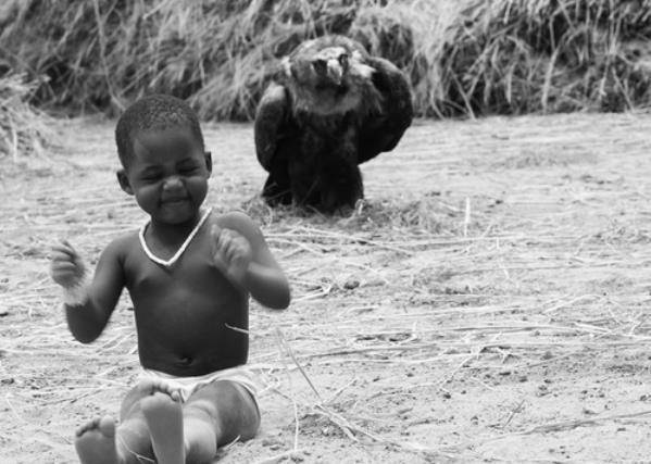 凯文卡特 来自搜狐网