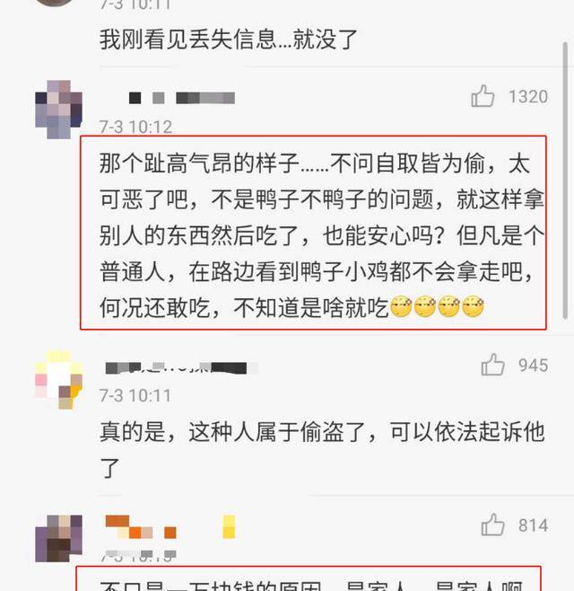 原创王珞丹深夜发布寻鸭启事后人找到了但是吉吉已经不在这个世界