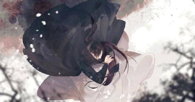 二哈和他的白猫师尊,就算和你一起背负骂名,也要把