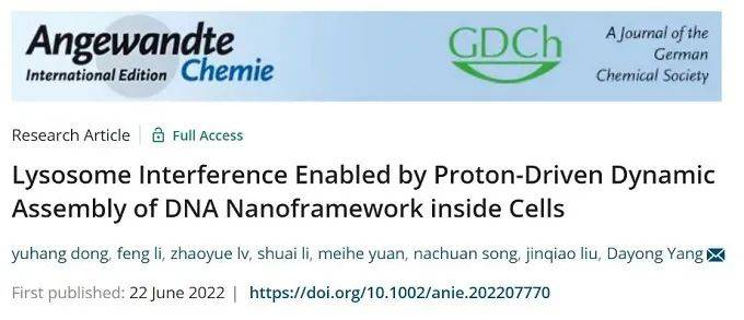 天大仰大勇团队胞内质子驱动dna纳米框架组装干扰溶酶体功能