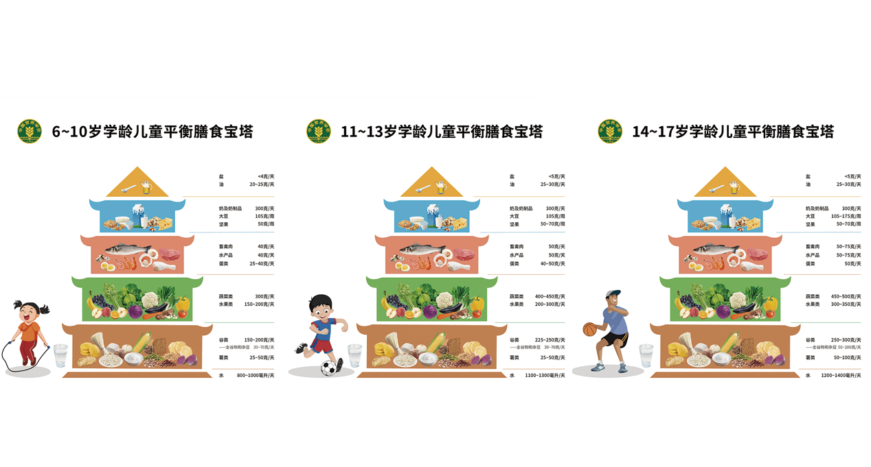 11-13岁,14-17岁的学龄儿童,量身定制了不同的平衡膳食宝塔
