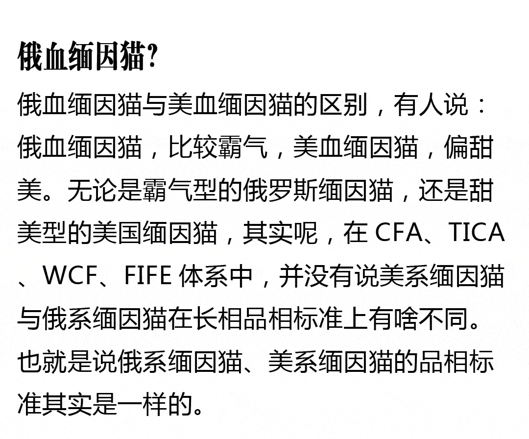 银渐层和缅因猫的串?出售纯种缅因猫?缅因猫的十大忠告?缅因猫遛猫?