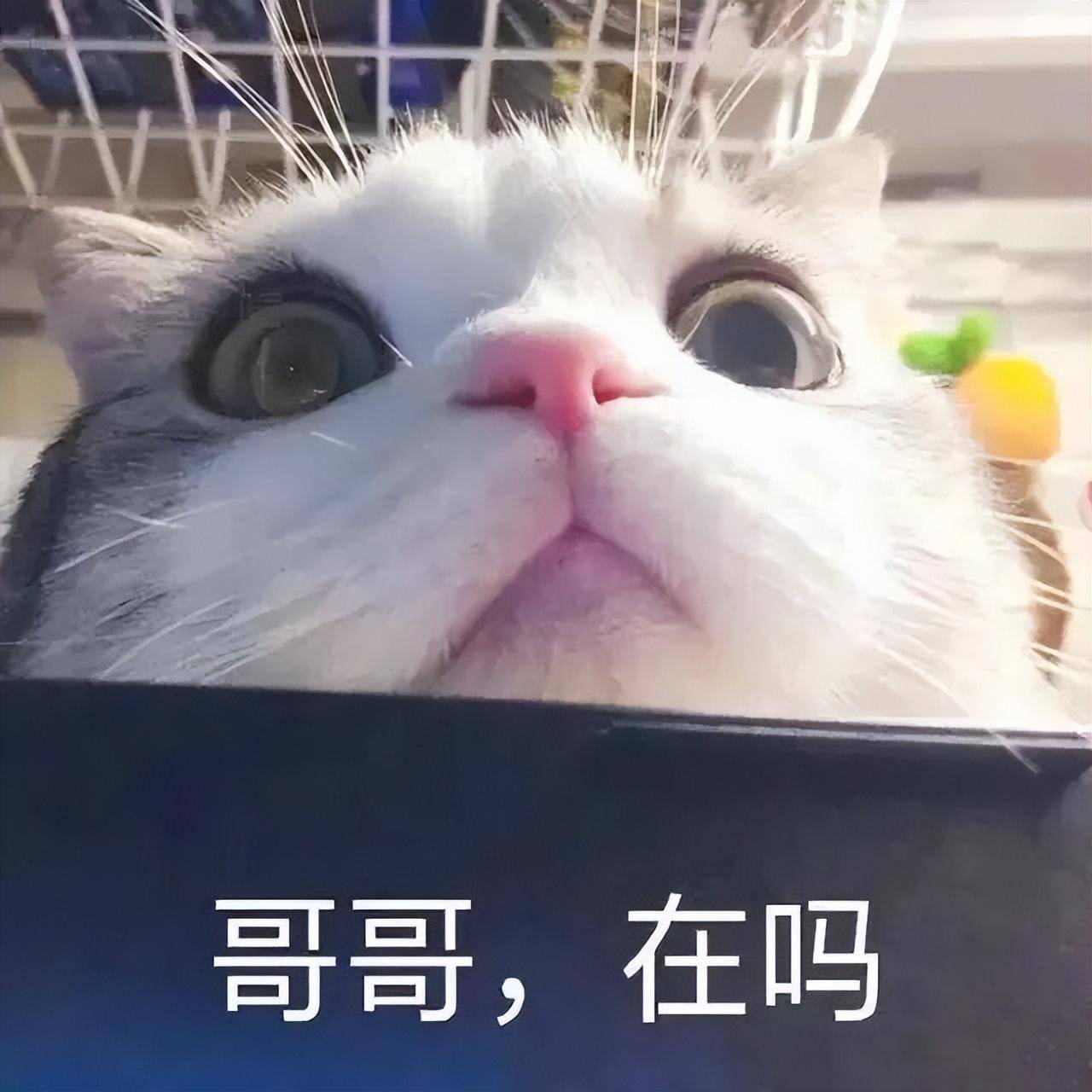问q币收到没有,没想到他很快就回复了,虽然不久之后他的头像又变灰了