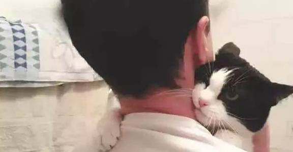 听说要洗澡,奶牛猫搂着男主的脖子撒娇求饶,却没想到信错了人!