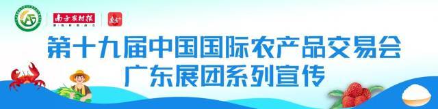 农业农村部唐浩简历（农业农村部市场与信息化司司长唐珂点第十九届农交会广东展团）