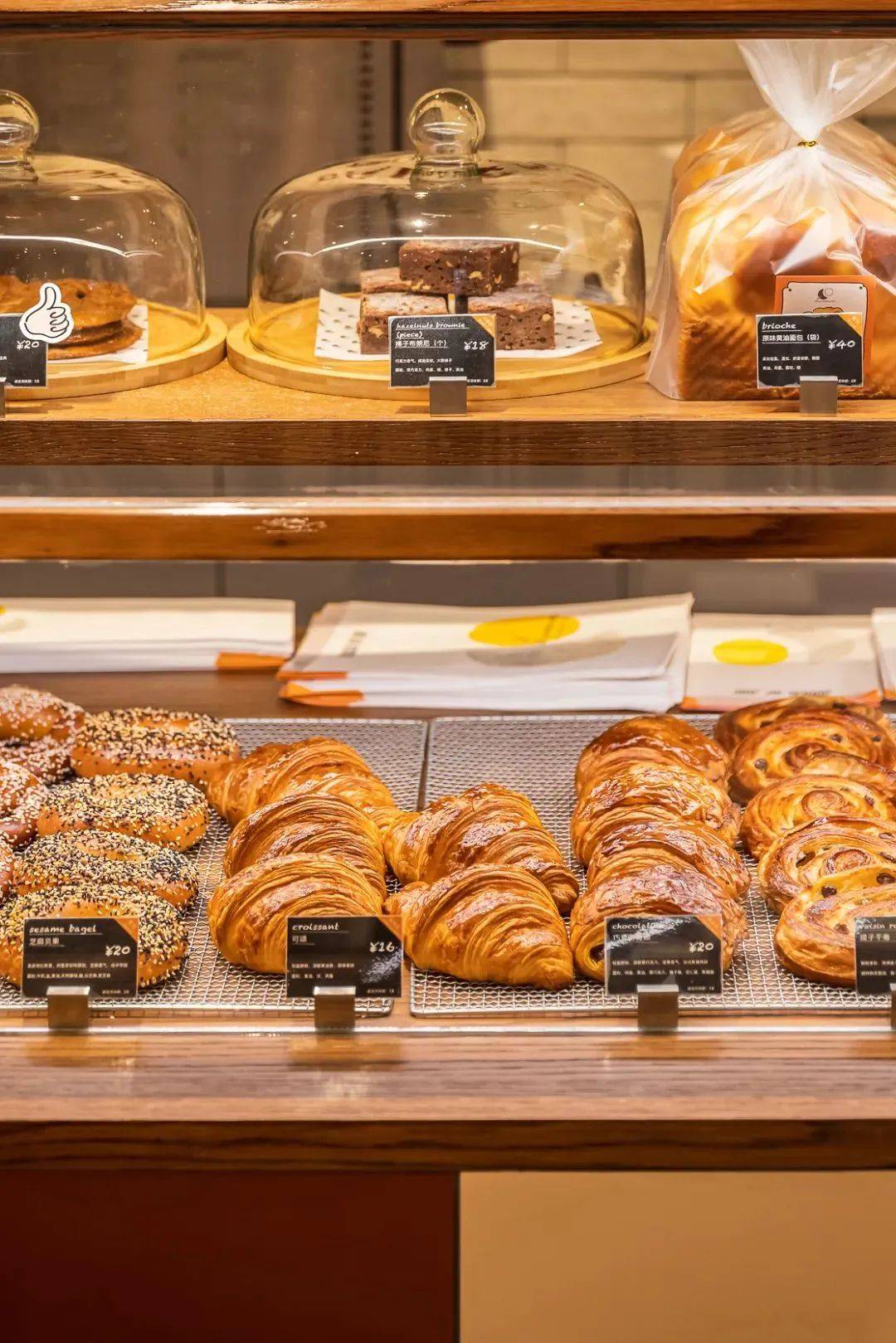 ��ħ��Ħ������� 2022 BEST 50���ذ�������