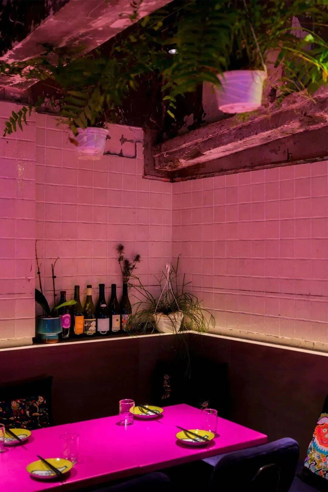 ��ħ��Ħ������� 2022 BEST 50���ذ�������