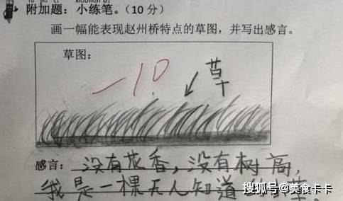 小学生“0”分作文走红，实在“太有才”，我是老师就给100分  小学作文 第1张