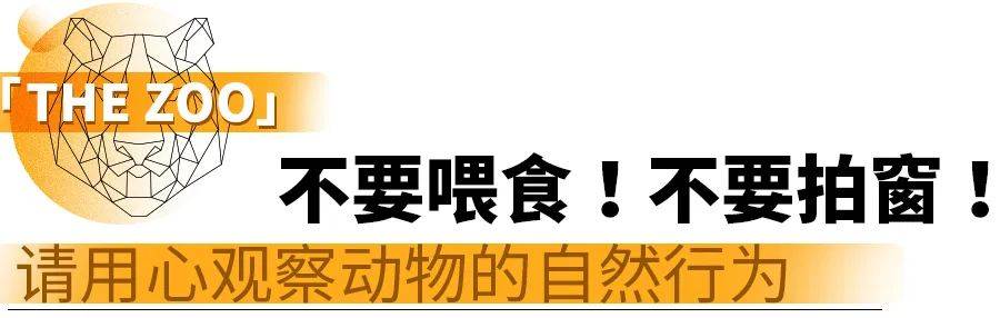 想把动物园逛大白？你需要GET一些“正儿八经”的常识