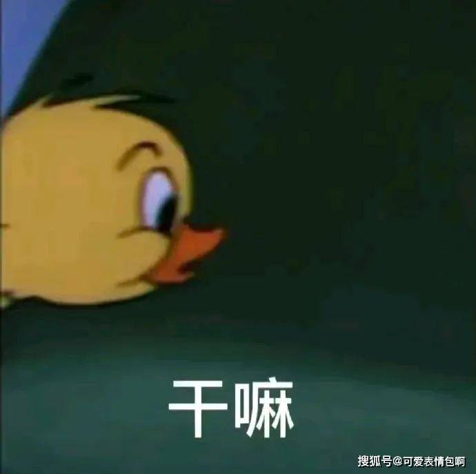 过年必备脸色包｜哎呀 我都那么大了 红包就不要了