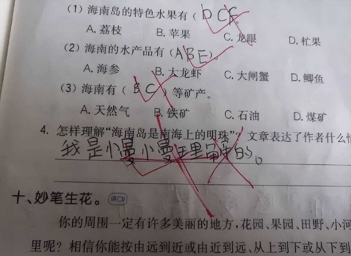 小学生写作业能有多离谱，家长气得直跺脚，老师看后哭笑不得  小升初作文 第9张