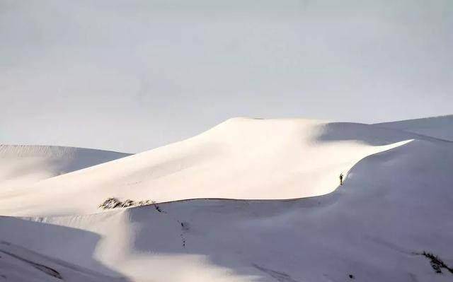 变天了！戈壁都下雪了，传闻如今流行去撒哈拉看雪！