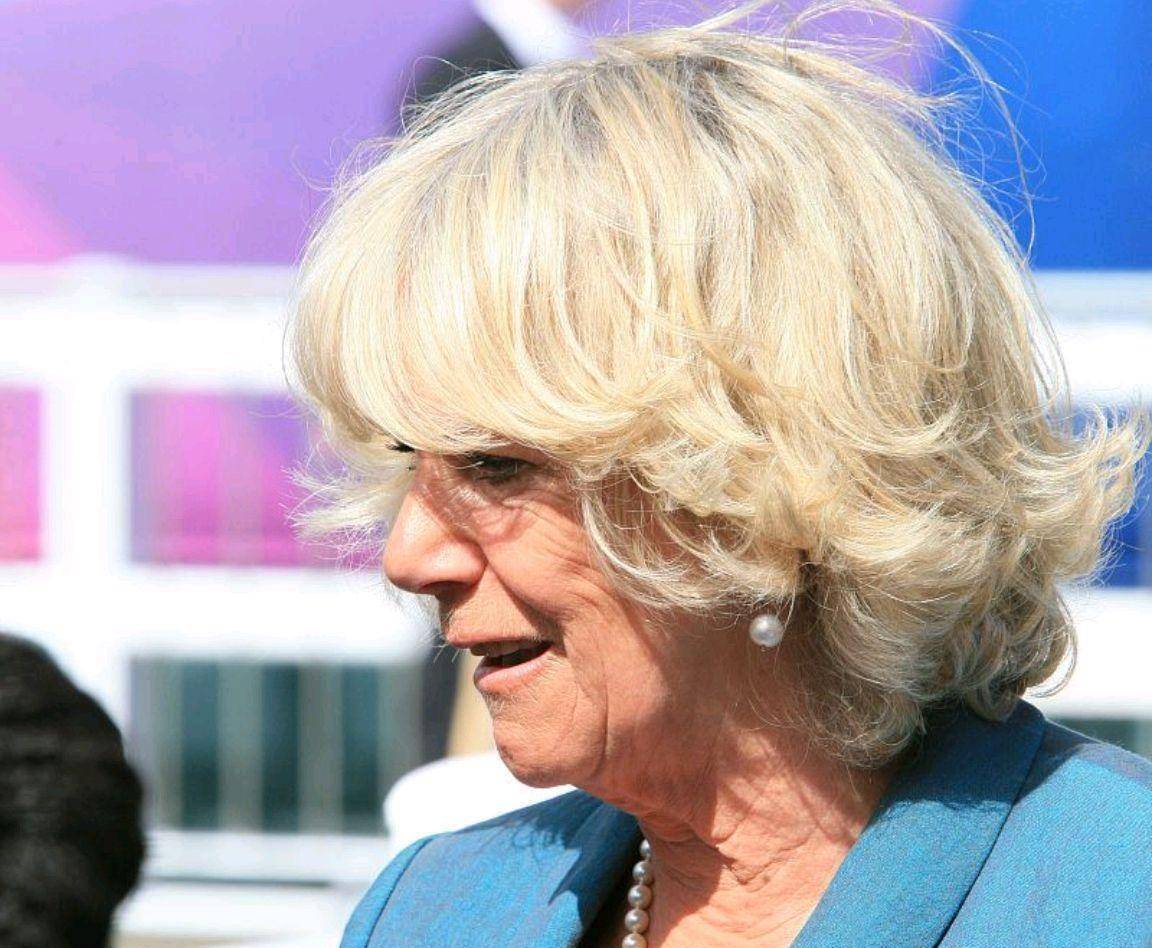 ԭ�濨�����������˹����50�겻���֣�ֻ����������� ...