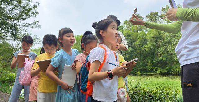 杭州市保俶塔尝试学校学生停止西溪湿地动物大查询拜访