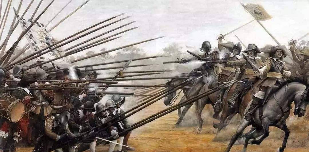 �뺷����־-�������׵Ŀ�֦ɢҶ��ʿ�߱�ϵ��ѡ��