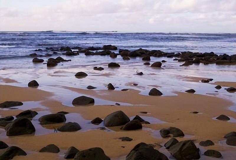 ǳ����Τ��������������̬������Ϊ���ܳ����ڶ���ʷ��ͳ ...