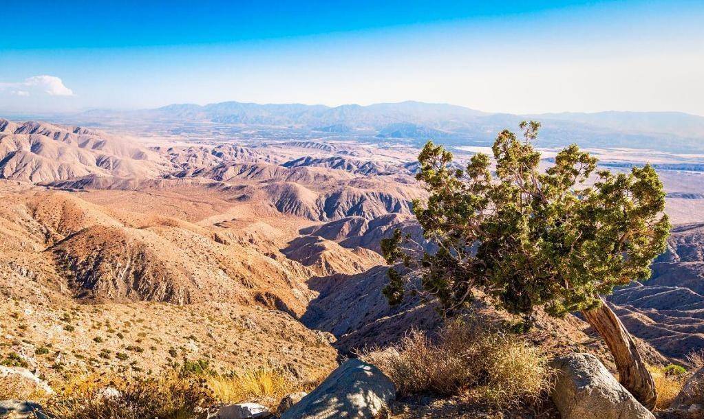 ǳ����Τ��������������̬������Ϊ���ܳ����ڶ���ʷ��ͳ ...