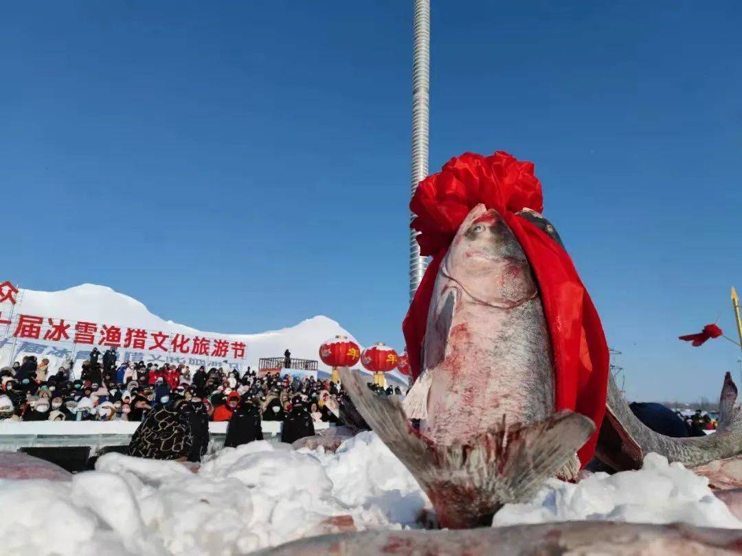 长白日下雪，“吉”地新体验 | 俺们的财产实争气