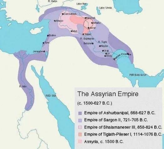 �����۹������������