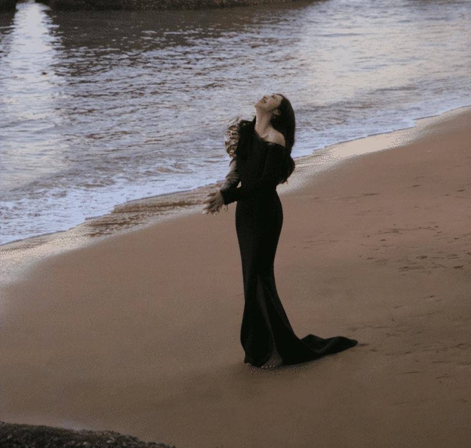 �𼦽���̺Ů���������������Ҵ��۸���ʢ��