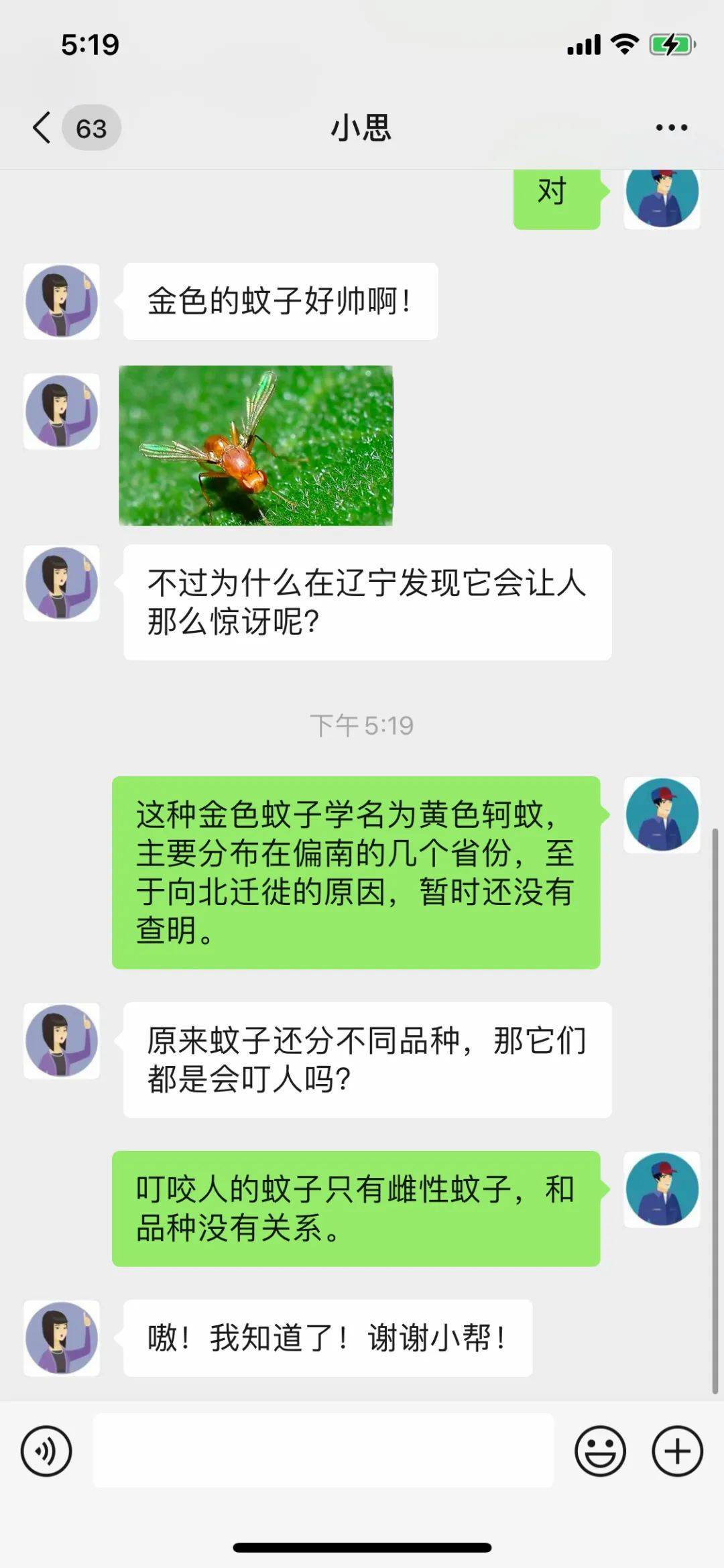 秋蚊猛于虎，各人的觉得若何呢？