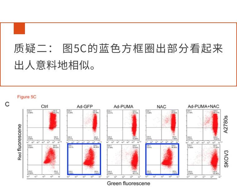 四川大学华西病院的两篇论文被量疑两年未更正，毕克博士犀利诘问