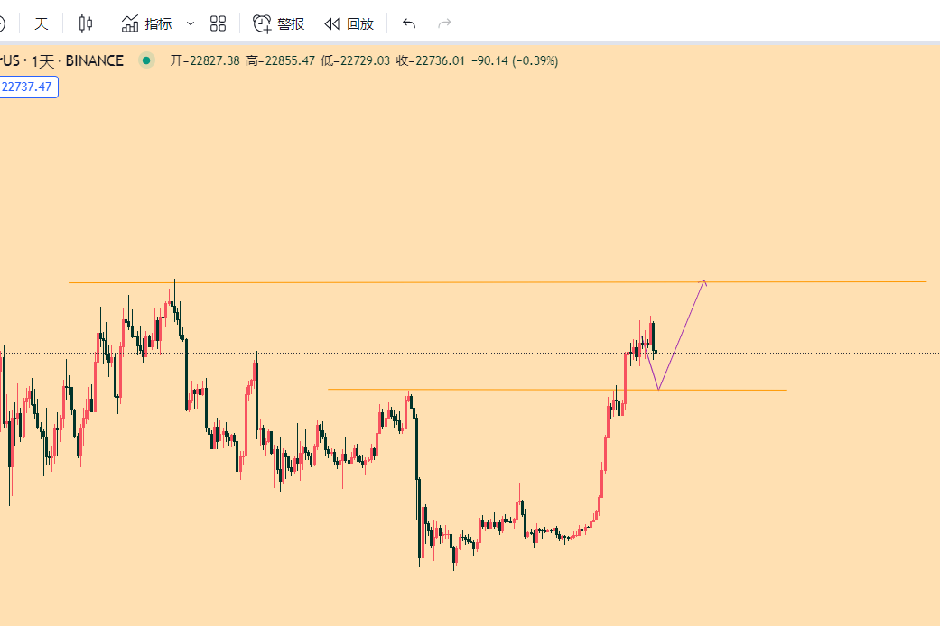 1.31 BTC月末将调整，然后再延续走高