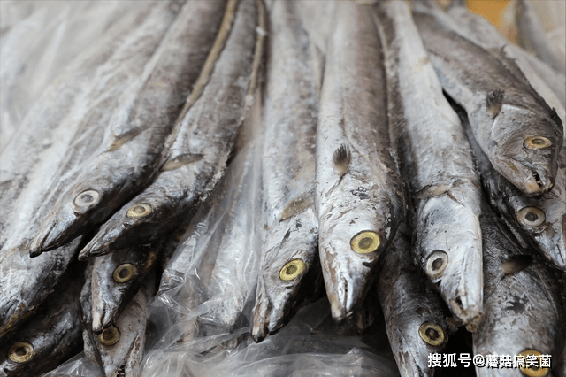 买带鱼，留意区分“黑眼睛”和“黄眼睛”，区别挺大，弄懂再花钱