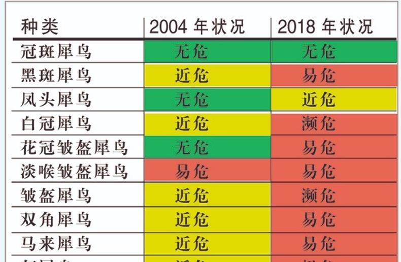 盔犀鸟：因头骨价值高贵被人类盯上，活着被取骨后只能等死