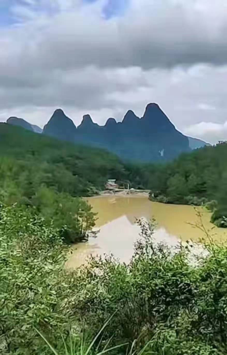 汉高祖刘邦祖地金星行龙，文武排衙，天子地，仙人骑飞鹤格，人脐穴。