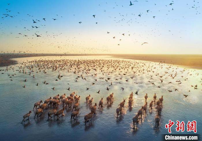 江苏大丰精绘沿海新画卷：不雅海廊道“出圈” 生态美景串珠成链