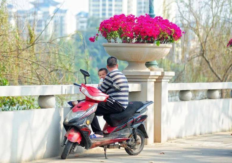 大片！钦州市区那些花海美哭了！你带着她，她带着丝巾