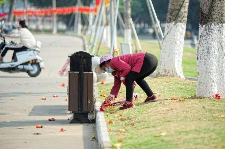 大片！钦州市区那些花海美哭了！你带着她，她带着丝巾