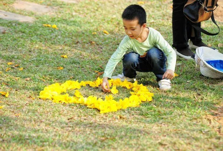 大片！钦州市区那些花海美哭了！你带着她，她带着丝巾