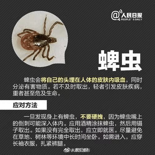 蚊子为什么被称做为最致命的杀手？它事实有什么可怕之处？