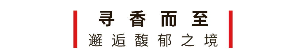 春熙路惊现4米高巨型鸡，陈飞宇、张子枫都来打卡了？