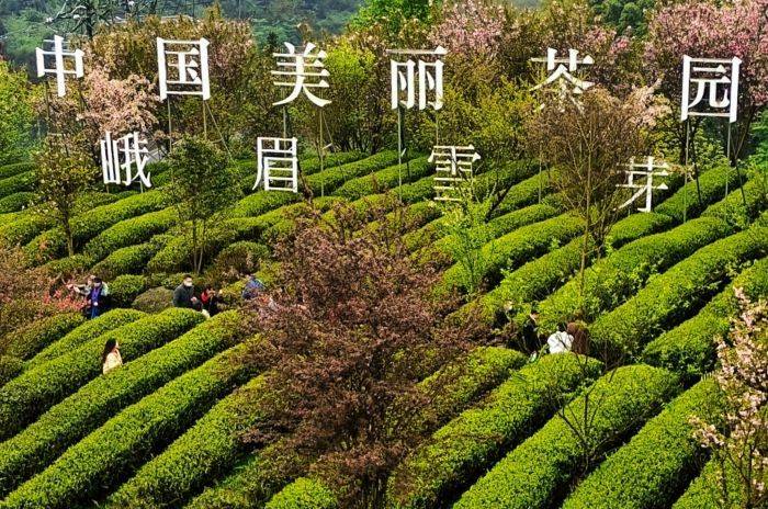 “峨眉问茶·万年祈福”茶旅精品道路表态天府旅游名县茶旅交融开展联盟推介会