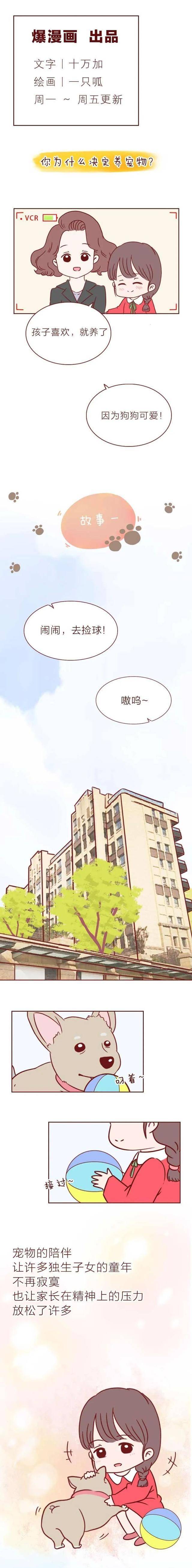 短篇漫画《宠物病院》，看完最初一个故事，你会觉得前两个很挖苦