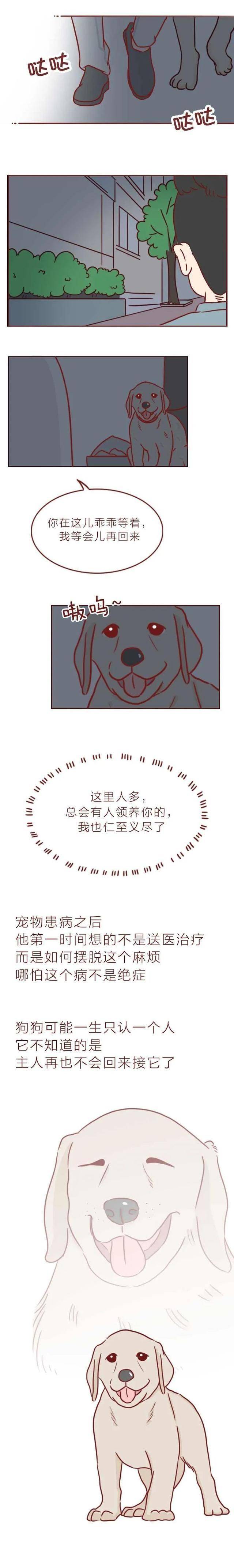 短篇漫画《宠物病院》，看完最初一个故事，你会觉得前两个很挖苦