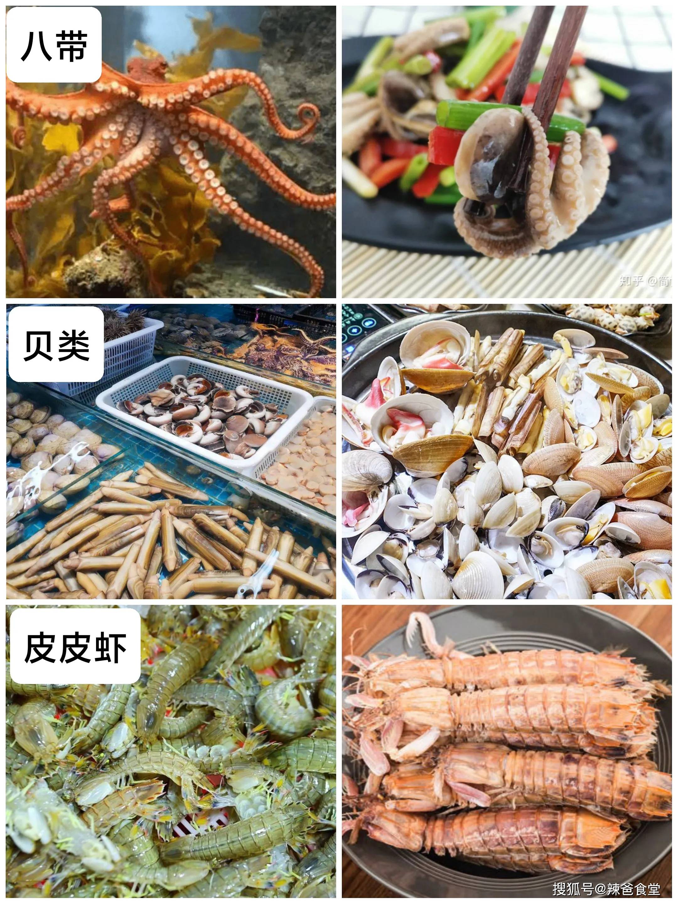 春天吃什么？那些春天“当季”美食，错过就要等一年，赶紧享用！