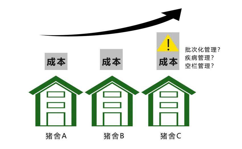 我和ChatGPT比养猪